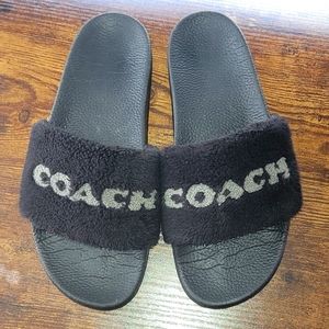 Coach slides